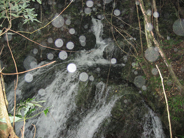 北川水系支流の滝