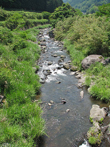 阿蘇野川の流れ