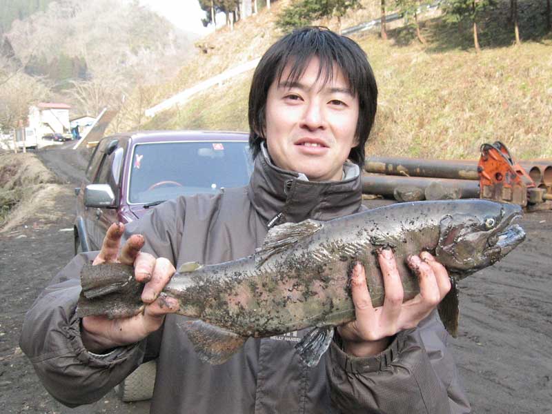 木郷滝の大山女魚