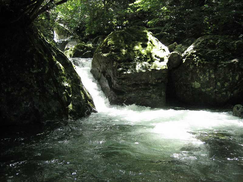 北川の小滝