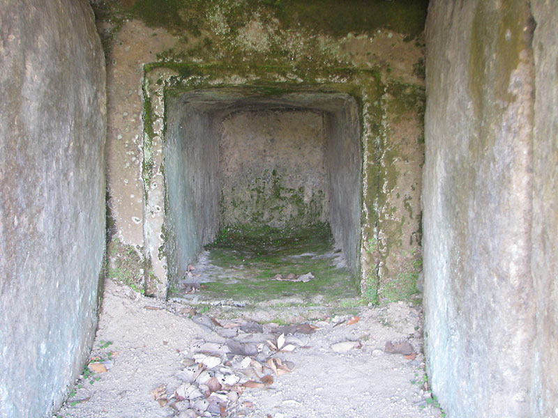 古宮古墳の石室内部